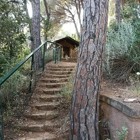 Cs Glamping - Tende 公寓 *