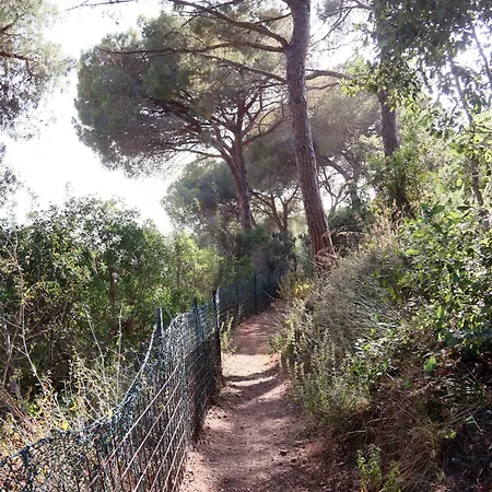 公寓 Cs Glamping - Tende